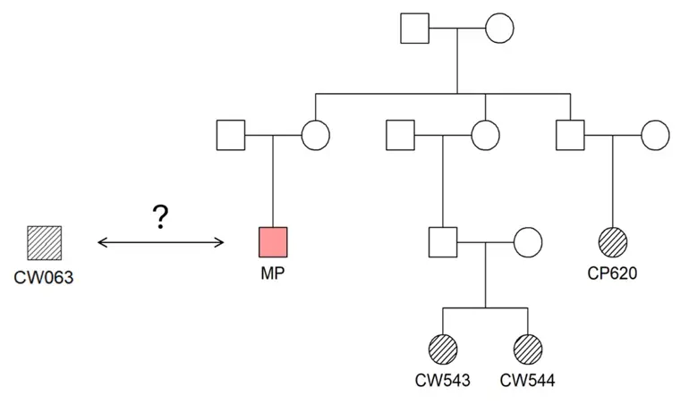 Diagram