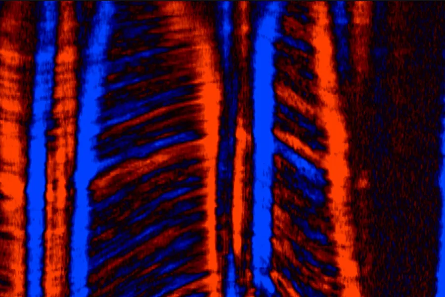 A close-up of some blue lights