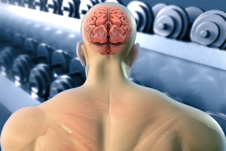 Illustrasjon av en mannlig bruker av AAS på treningssenter.