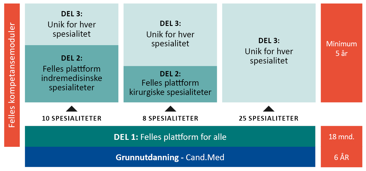 Illustrasjon som viser oppbyggingen av spesialistutdanningen. Del 1 er felles for alle, og består av 12 måneder sykehustjeneste og 6 måneder i kommunehelsetjenesten. Kirurgiske og indremedisinske spesialiteter har en felles del 2 som er henholdsvis 2 og 3 år. Del 3 utgjør læringsmål som er unike for hver spesialitet. Til sammen skal LIS 2 og LIS 3, eventuelt kun LIS 3 utgjøre minimum 5 år. FKM skal være en del av hele utdanningsløpet.