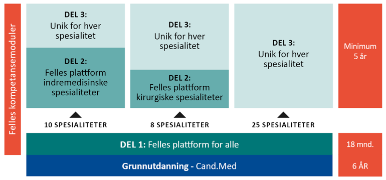 Illustrasjon som viser oppbyggingen av spesialistutdanningen. Del 1 er felles for alle, og består av 12 måneder sykehustjeneste og 6 måneder i kommunehelsetjenesten. Kirurgiske og indremedisinske spesialiteter har en felles del 2 som er henholdsvis 2 og 3 år. Del 3 utgjør læringsmål som er unike for hver spesialitet. Til sammen skal LIS 2 og LIS 3, eventuelt kun LIS 3 utgjøre minimum 5 år. FKM skal være en del av hele utdanningsløpet.