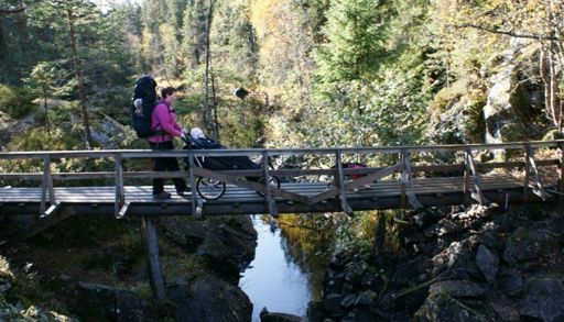 Et par personer som går på en bro over en bekk i skogen