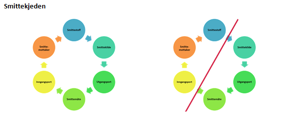 Smittekjeden