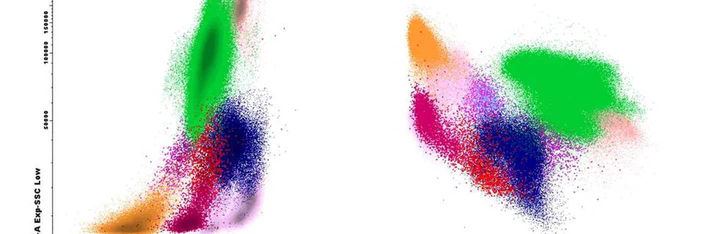 Cellefordeling i en flowanalyse