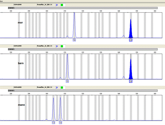Another example of an analysis with three rows and six markers.