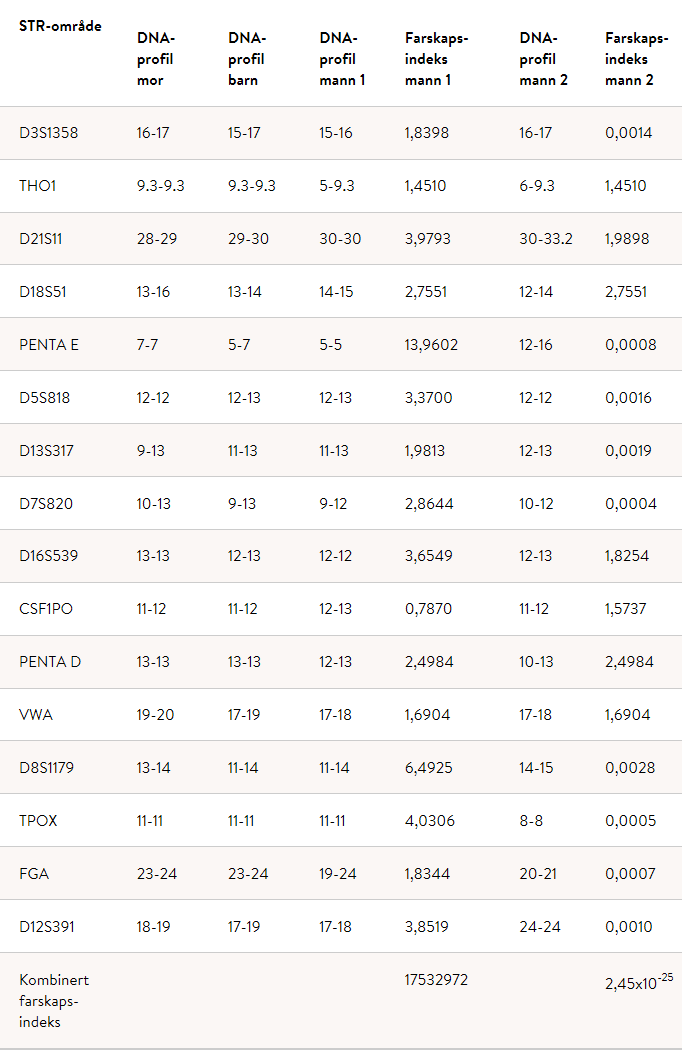 Example of a tabel for fatherhood results. It's STR area, DNA profile mother, DNA profile child, DNA profile man 1, father index man 1, DNA profile man 2, father index man 2.