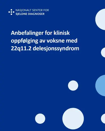 Grafisk brukergrensesnitt