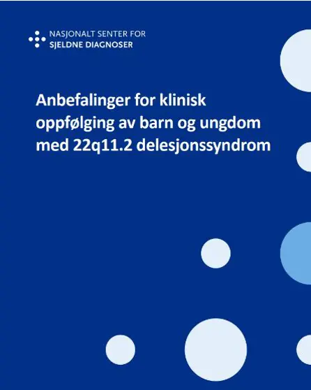 Grafisk brukergrensesnitt