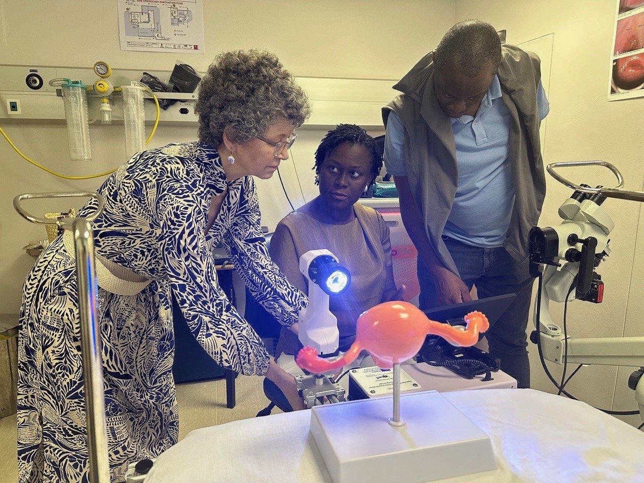 En gruppe kvinner som jobber med en modell av en fugl