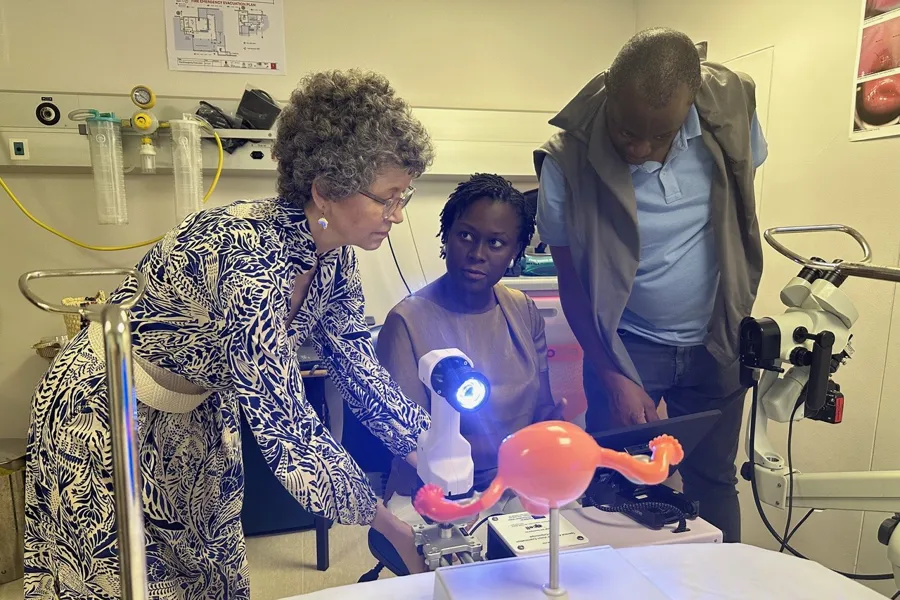 En gruppe kvinner som jobber med en modell av en fugl