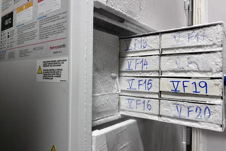 Et skilt på en vegg