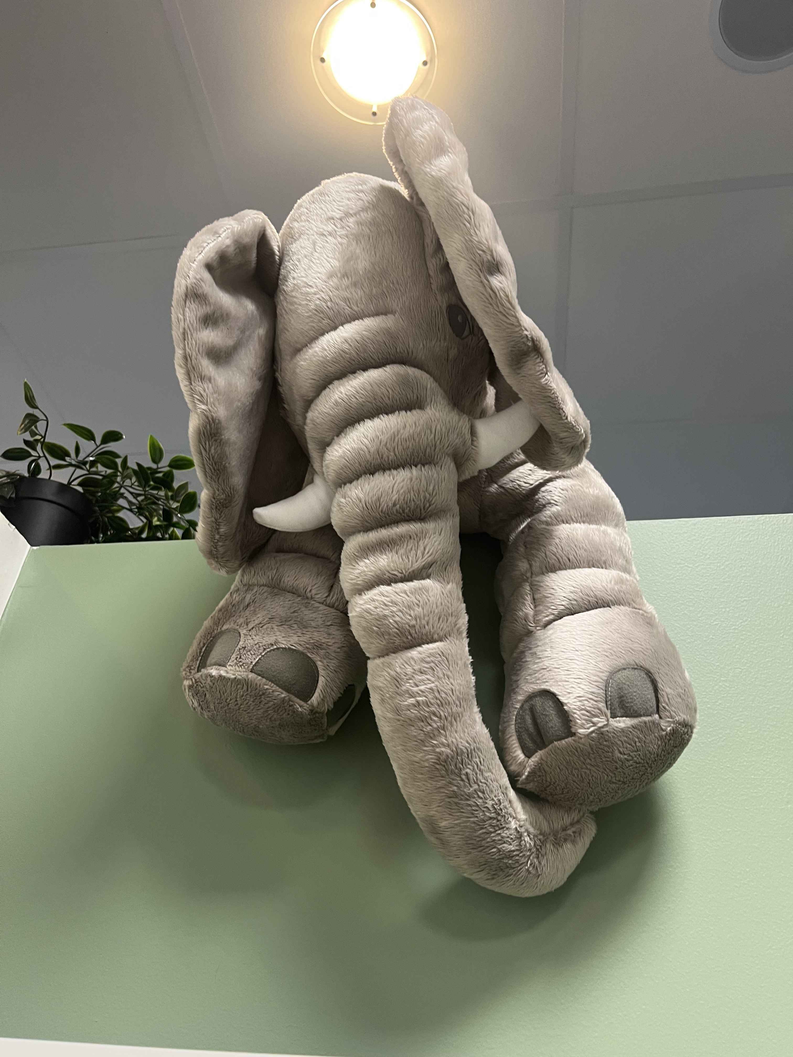 En elefant-bamse.