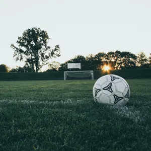 Bilde av en fotballbane av gress og en fotball liggende på gresset. Men ser litt trær i bakgrunnen og kan såvidt se solnedgangen i bakgrunnen.