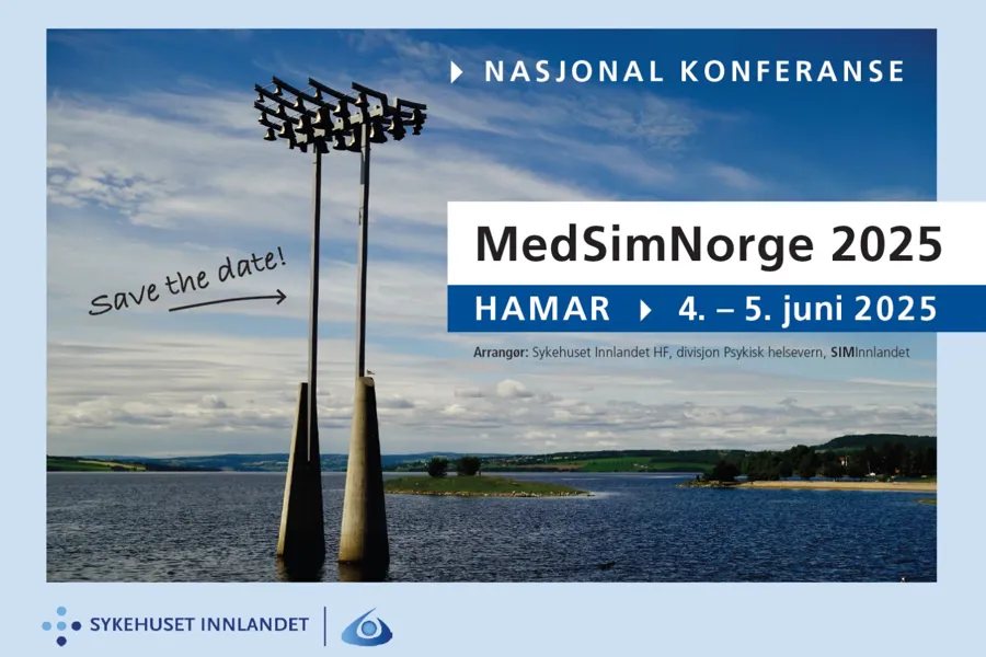 bilde av to stolper i mjøsa, med sjø og noe land. Teksten MedSimNorge 2025 Hamar 4-5 juni 2025