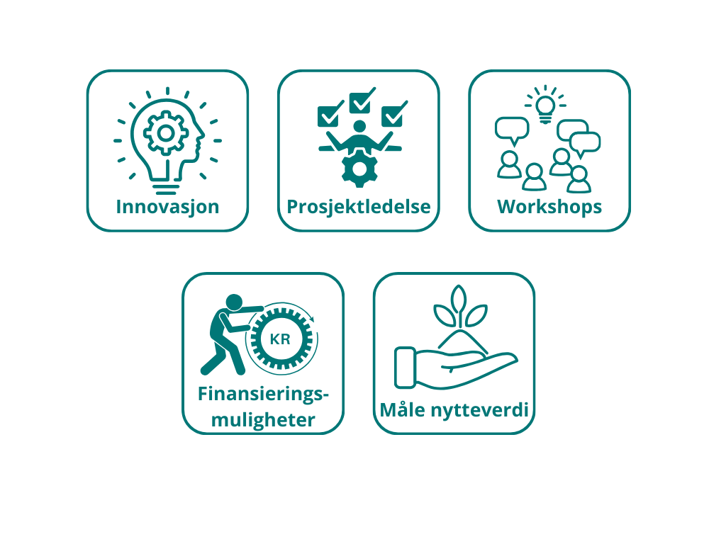 En gruppe logoer som viser innovasjon, prosjektledelse, Workshops, finansieringsmuligheter og måle nytte.