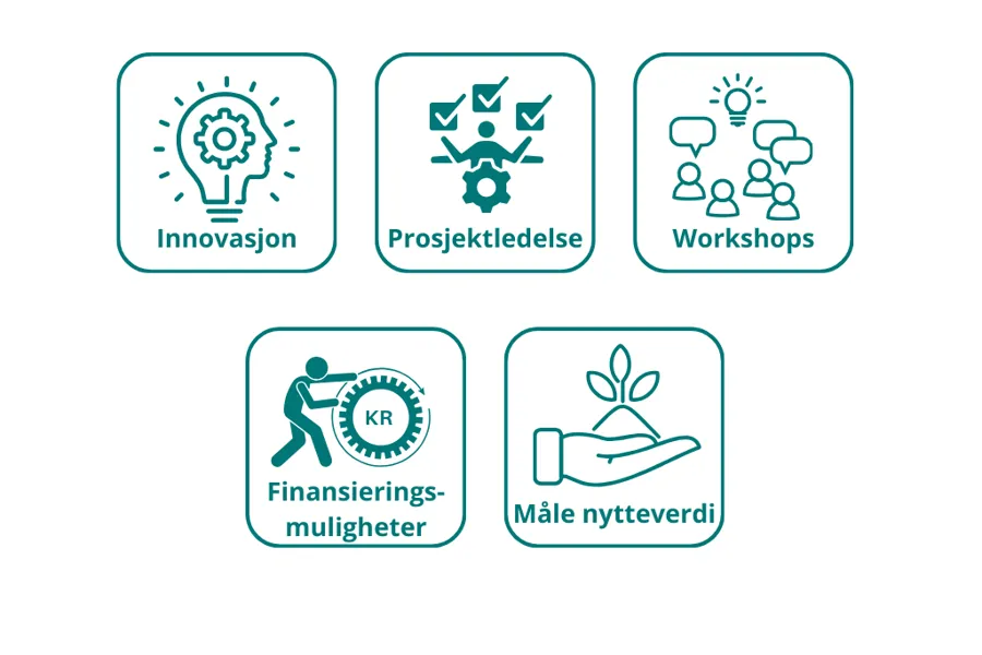 En gruppe logoer som viser innovasjon, prosjektledelse, Workshops, finansieringsmuligheter og måle nytte.