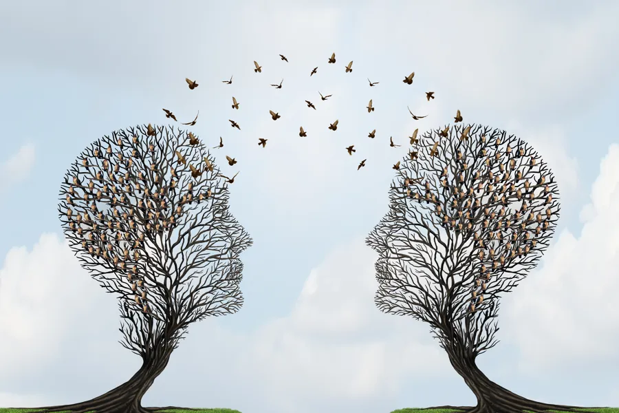 Trær formet som to hoder, med fugler som flyr i mellom dem