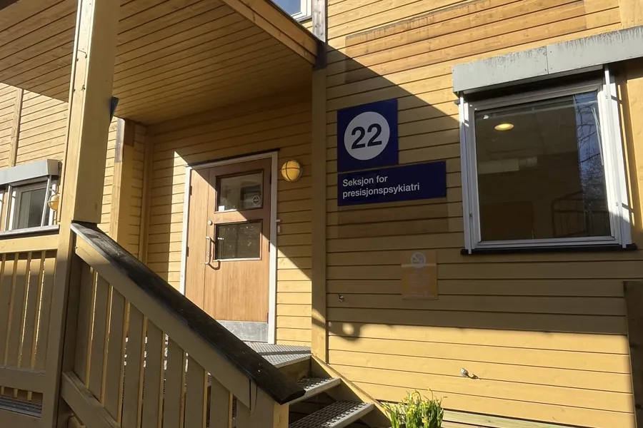 En trebygning med trapp