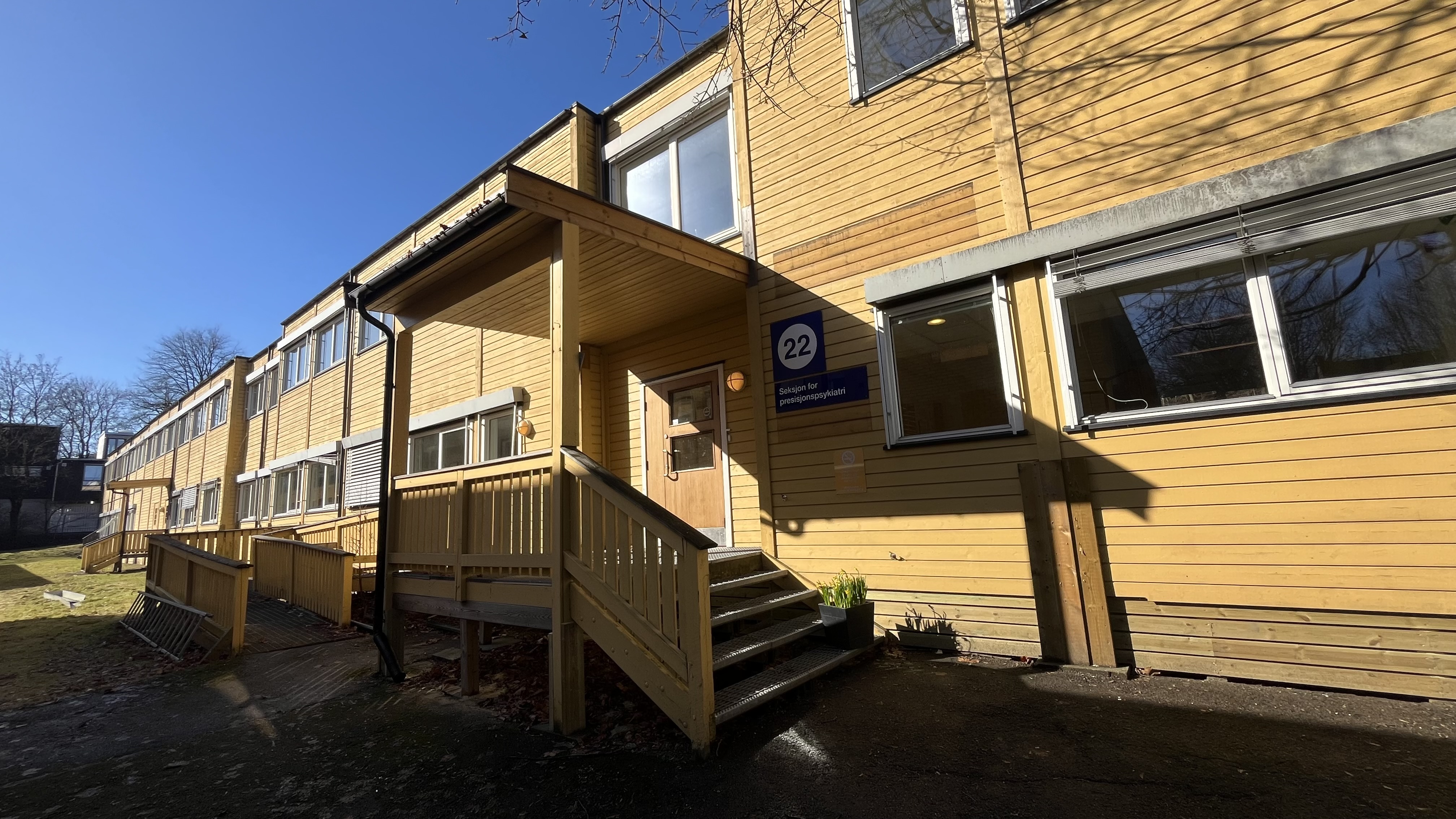 Et trehus med terrasse