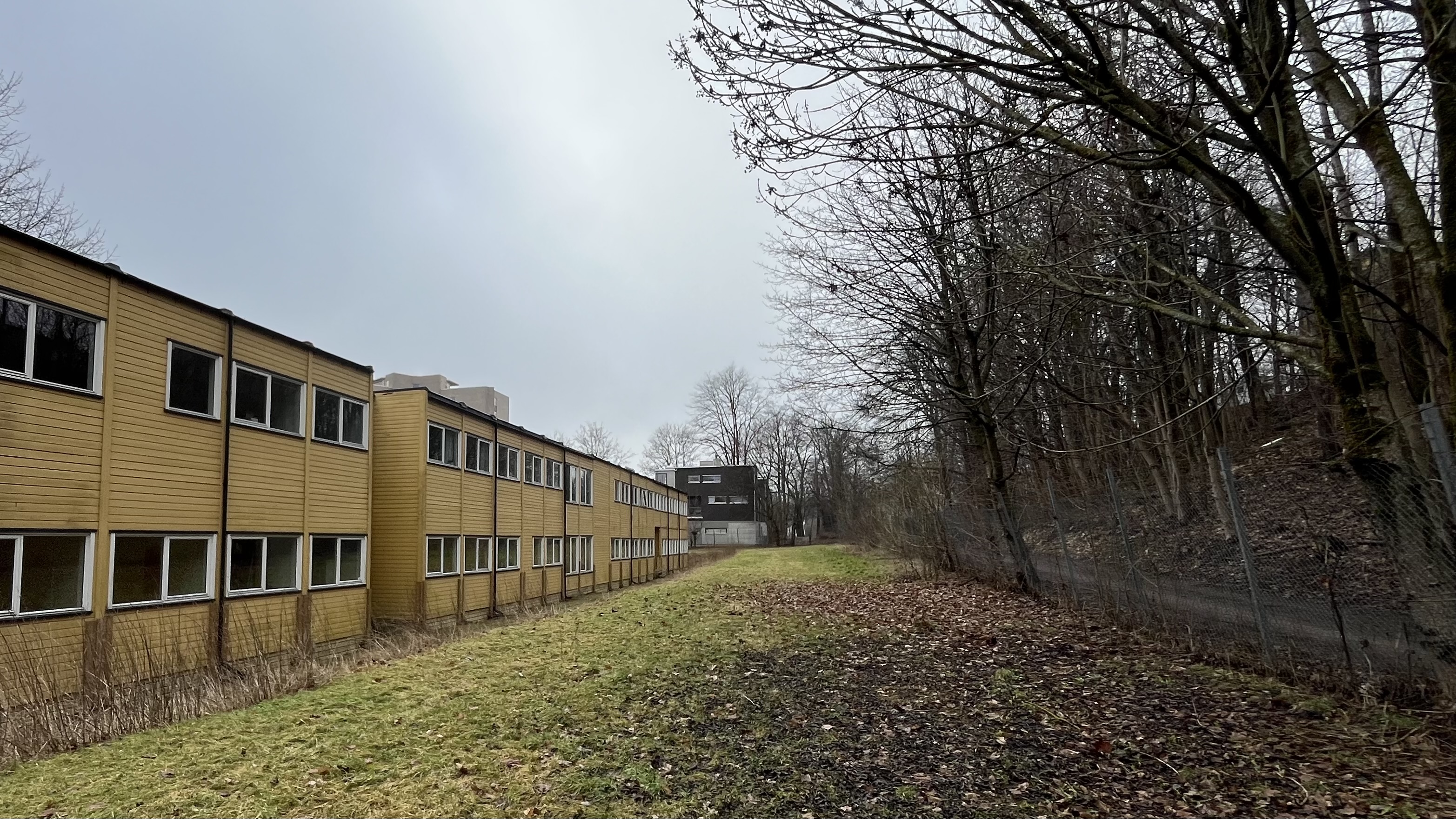 En bygning med et tre foran