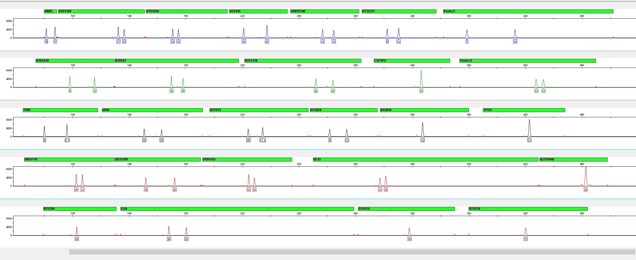 En figur som visuelt viser topper på en linje som samsvarer med et tall i rekken som utgjør en DNA-profil