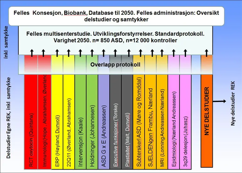 illustrasjon av organiseringen av bupgen