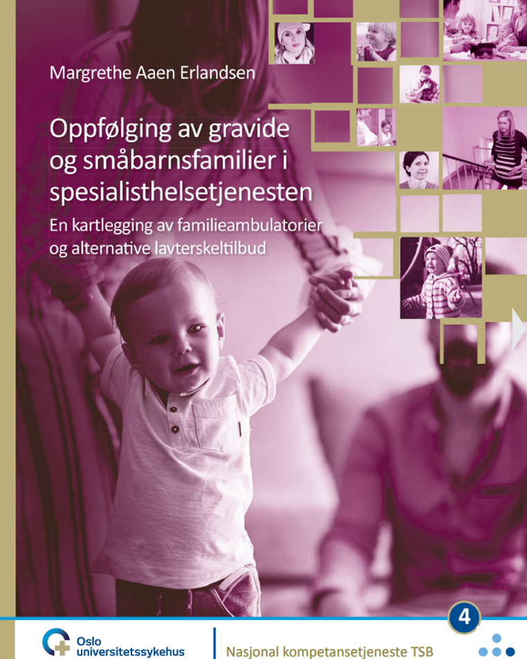 Forsidebilde av rapporten "Oppfølging av gravide og småbarnsfamilier i spesialisthelsetjenesten" (2019)