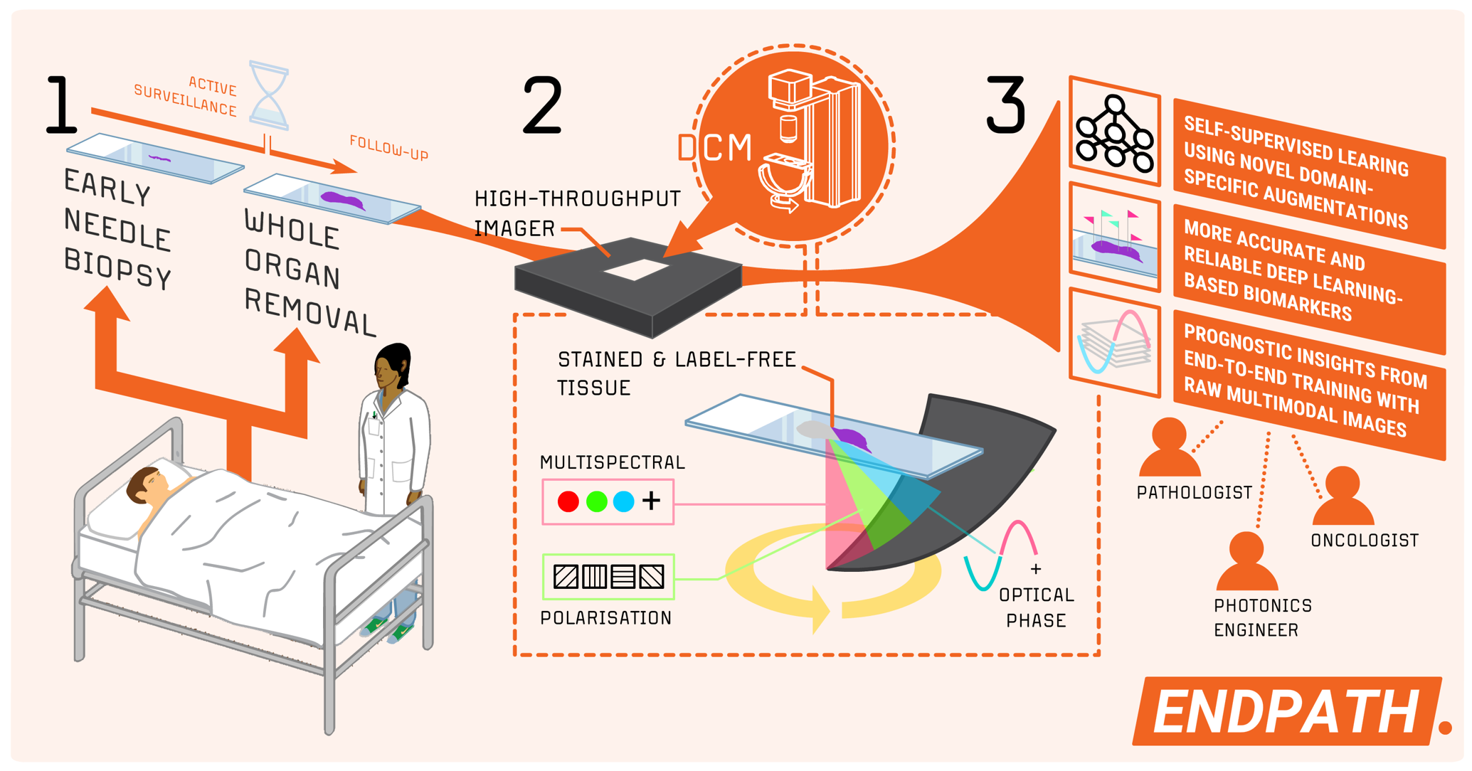 A visual representation with three steps – early needle biopsy and whole organ removal, analysis, and network.