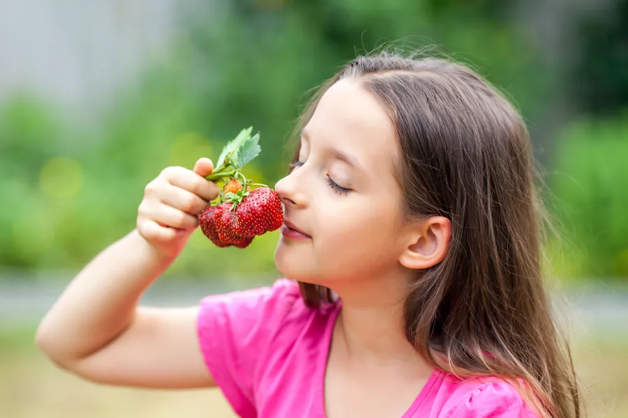 Jente som lukter på jordbær