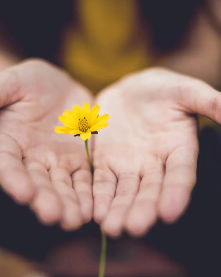 A hand holding a yellow flower