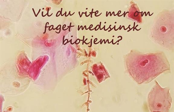 Vil du vite mer om faget medisinsk biokjemi?