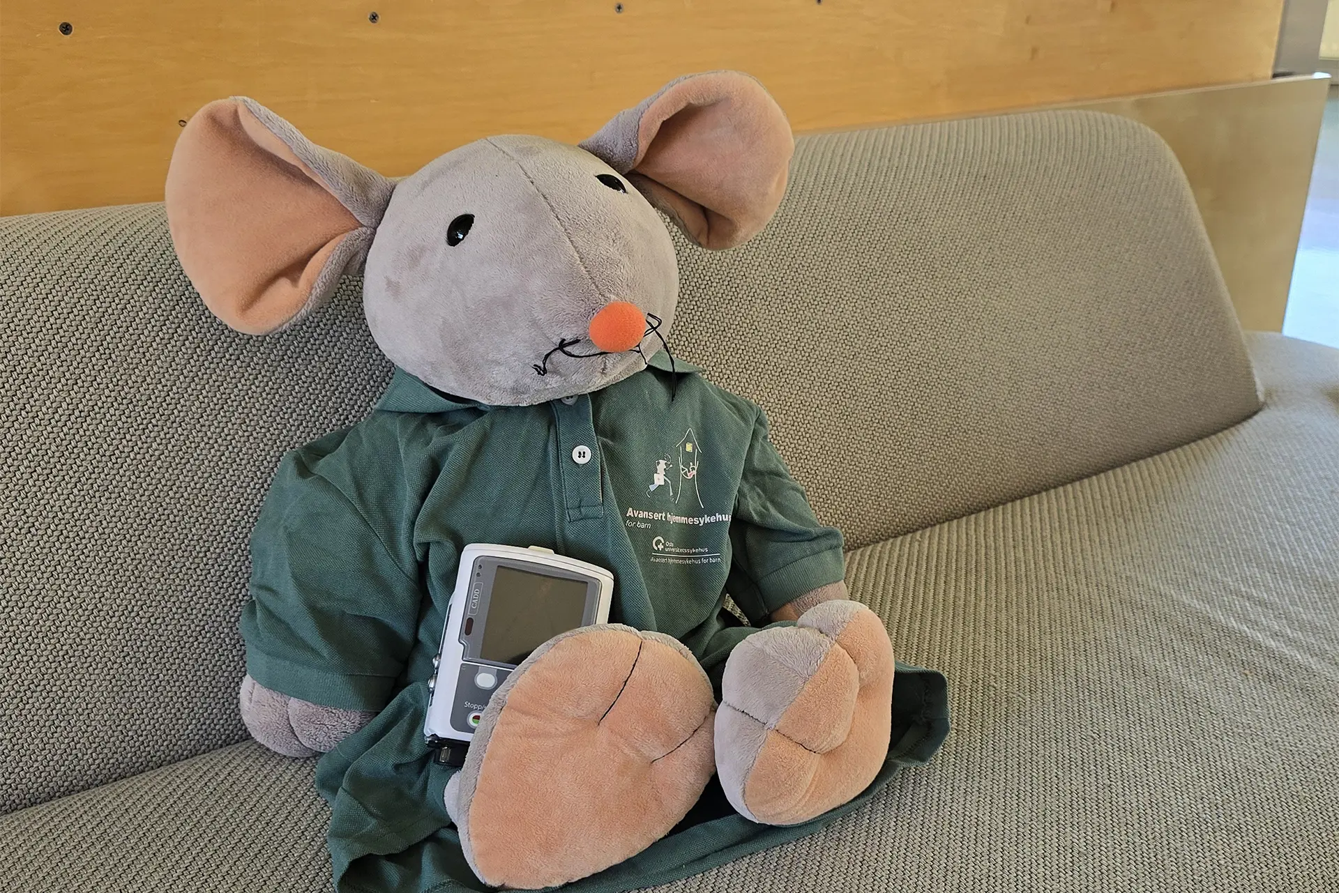 Et kosedyr på en sofa