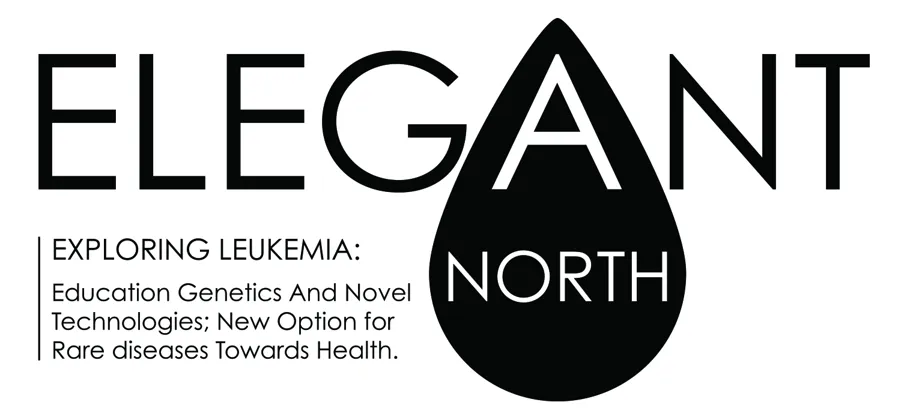 Logo Elegant North