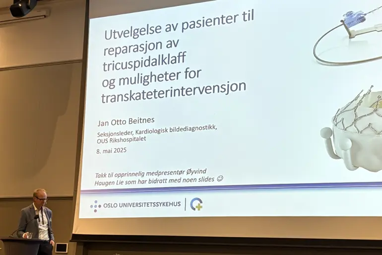 Photo of Jan Otto Beitnes during his presentation at NCS