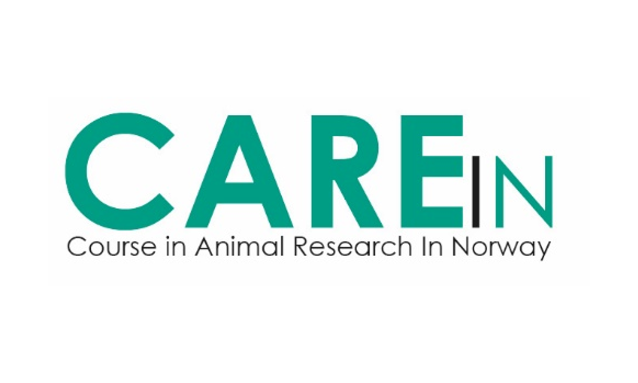 Logo, CAREIN skrevet i grønn tekst på hvit bakgrunn. Course in animal research in Norway skrevet i sort tekst på hvit bakgrunn.