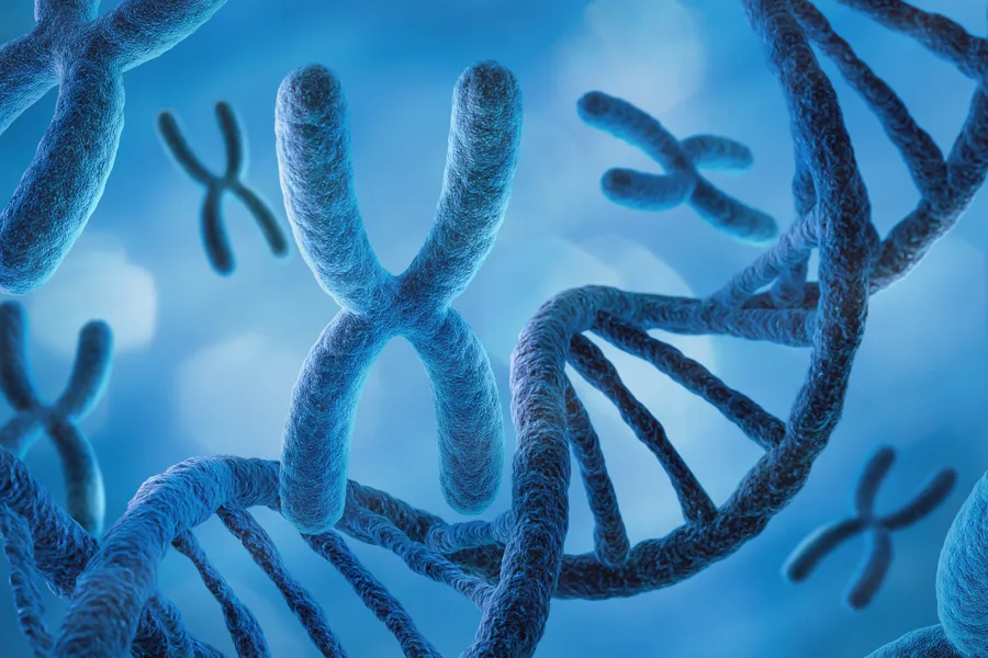3D illustrasjon av X kromosomer og dna