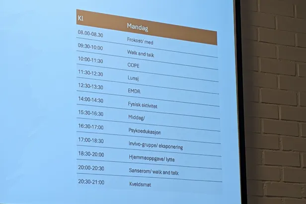Bilde av programmet for en behandslingsdag i intensivbehandling.