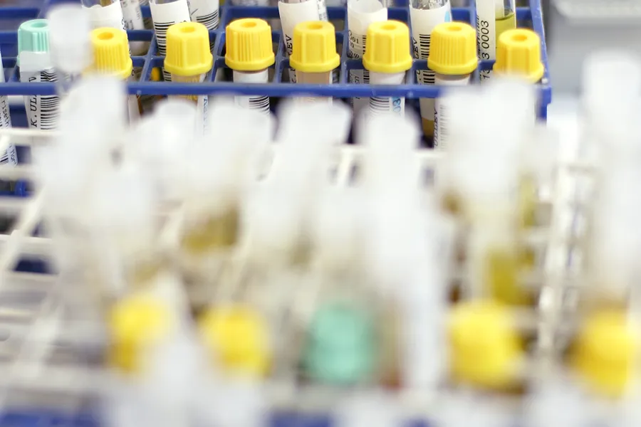 En gruppe plastflasker