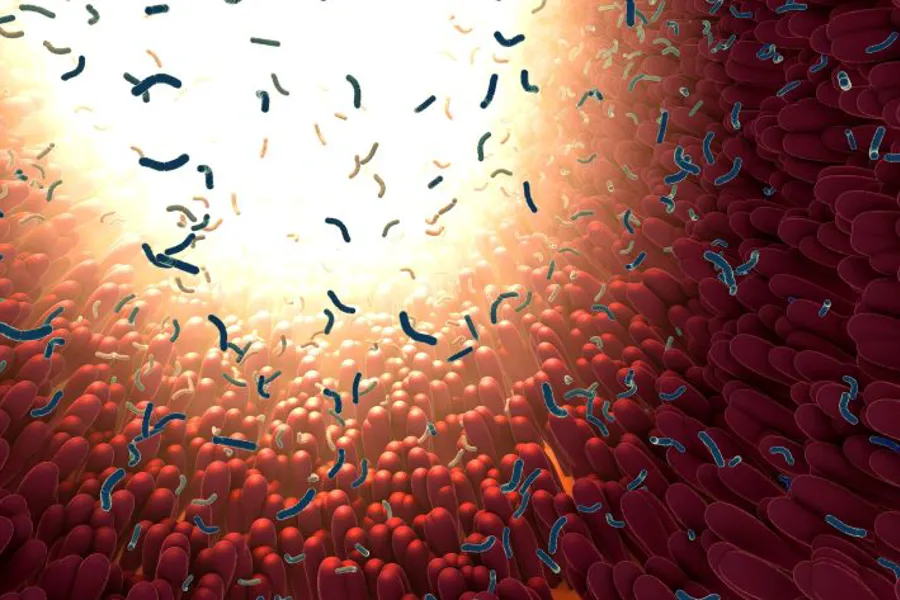 En gruppe fargerike bakterier