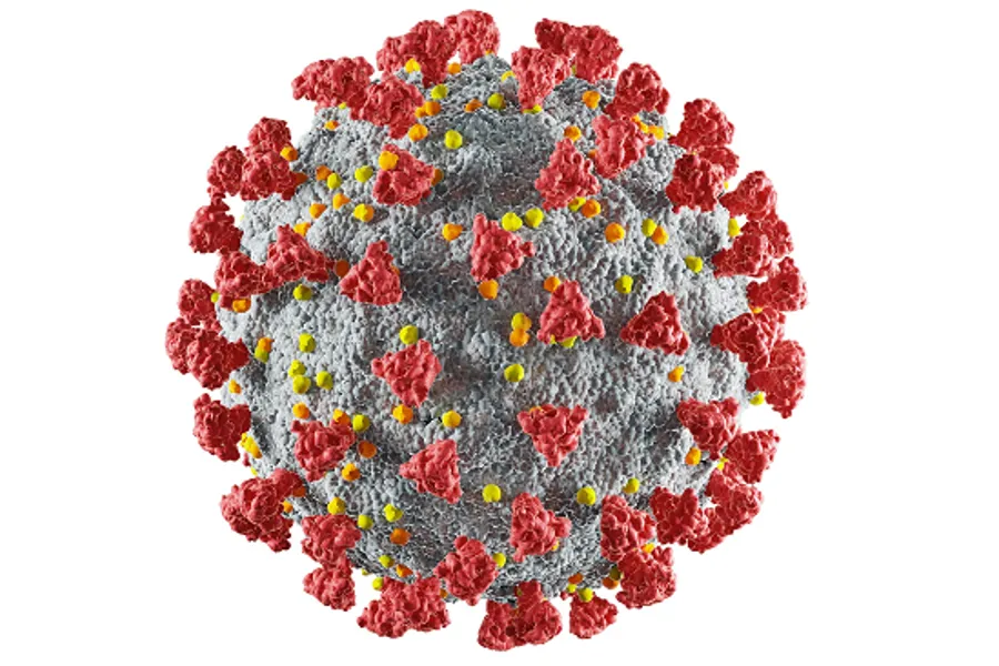 An illustration of a coronavirus with spikes