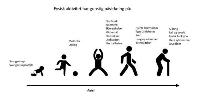 Tidslinje