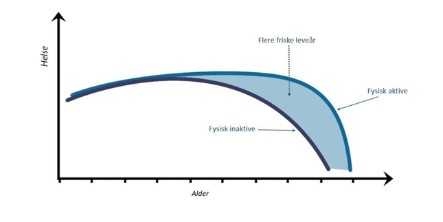 En illustrasjon på hvordan fysisk aktivitet kan påvirke aldringsprosessen, gi økt levealder med god fysisk funksjon blant fysisk aktive sammenlignet med fysisk inaktive.
