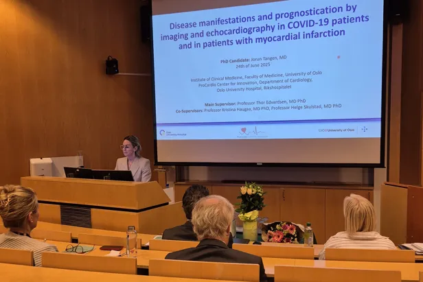 A person giving a presentation