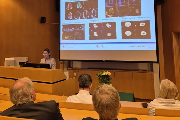 A man giving a presentation