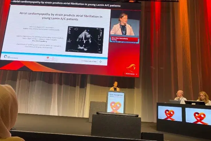 A person giving a presentation