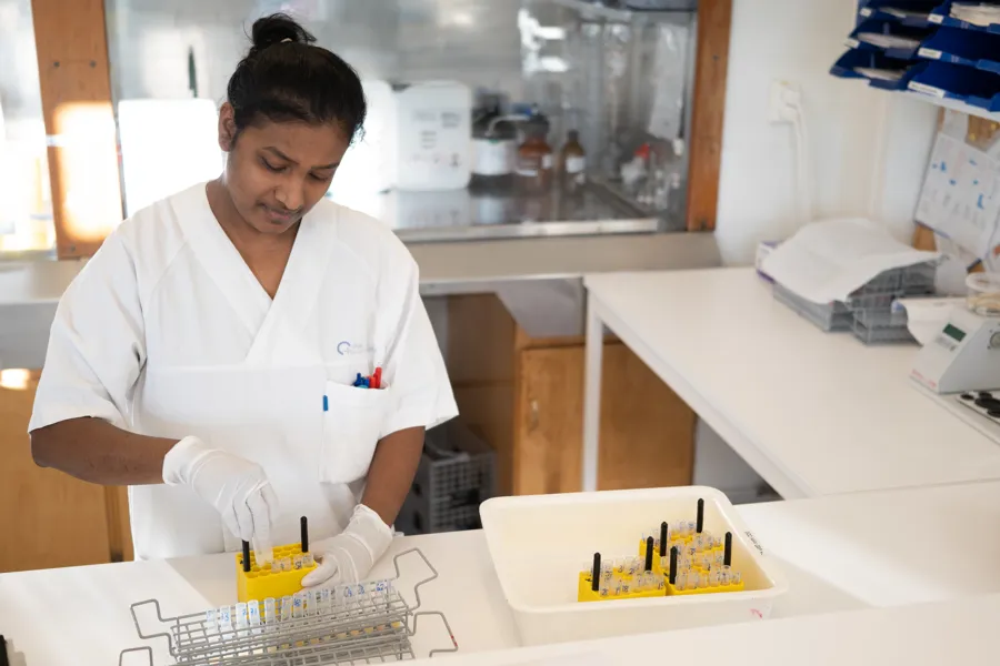 En bioingeniør håndterer prøveglass til en manuell analyse
