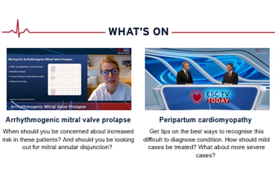 Graphical user interface, website