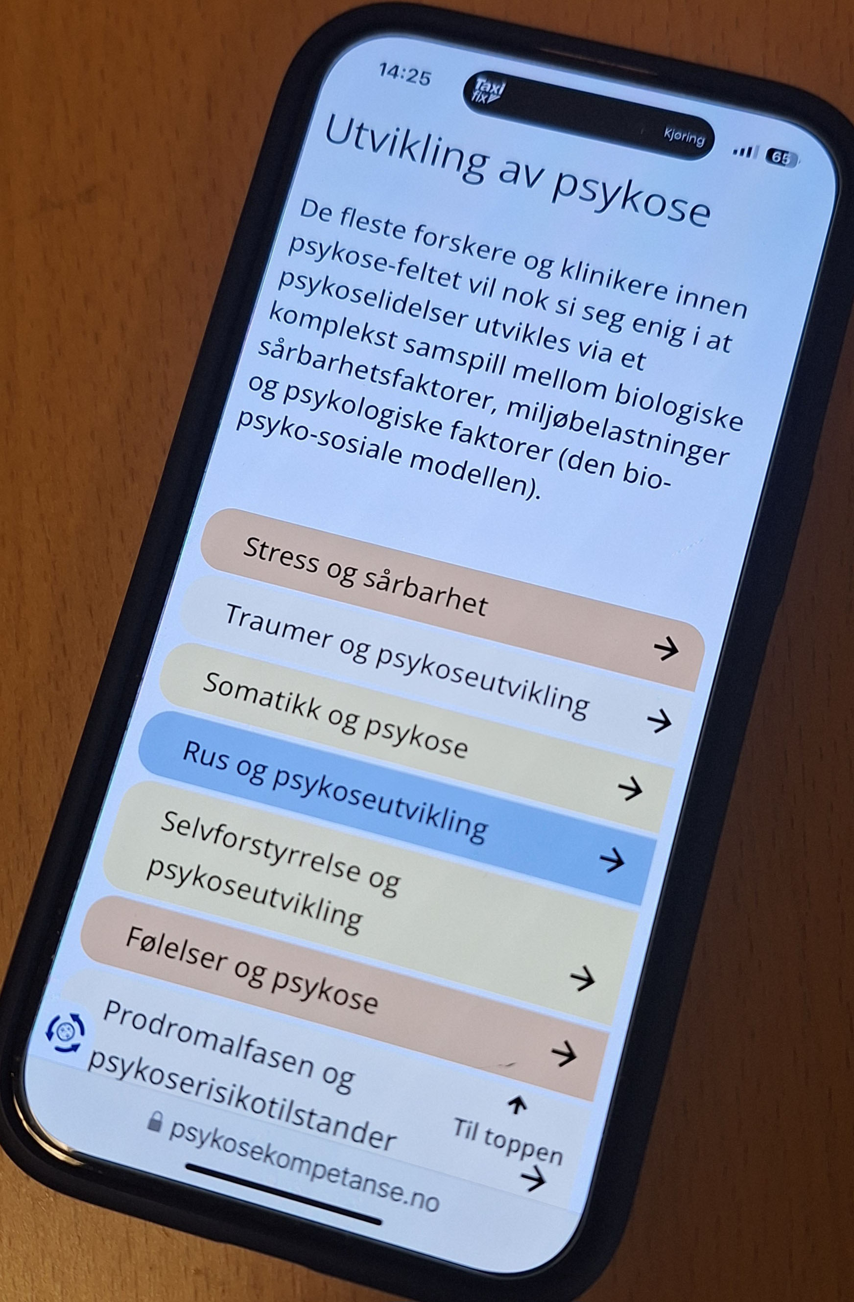 Grafisk brukergrensesnitt, tekst