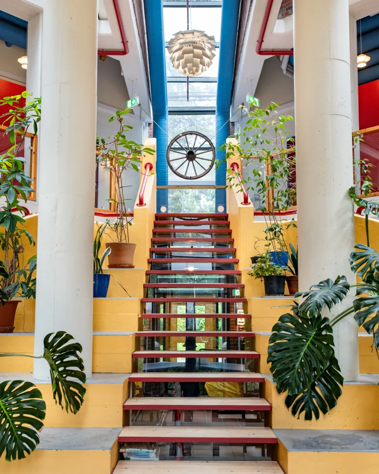 Trappen med planter i fellesområdene