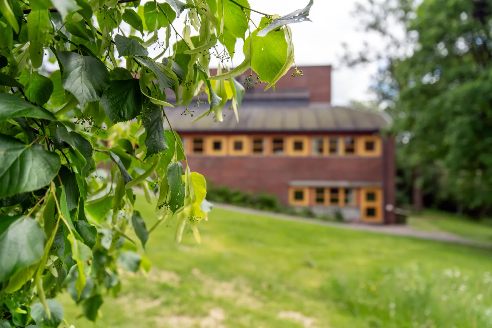 Døgnenheten bygget bak trær